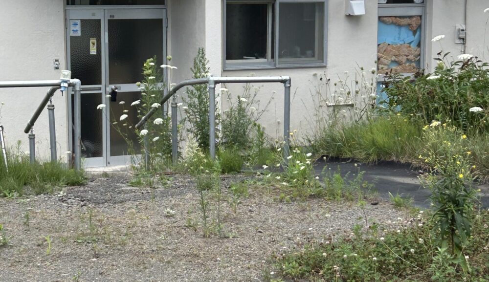 【洞爺湖町遺品整理・生前整理】地元業者だからこそできる安心と高額買取の実例【伊達市LRA association】